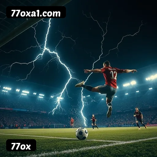 77ox APP mobile iOS Android - 187 mil downloads São Paulo Rio BH